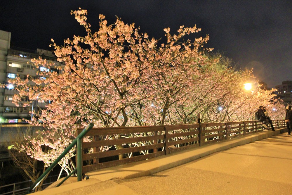台北樱花季 | 东湖乐活公园夜樱粉红风暴,河畔樱花林越夜越浪漫