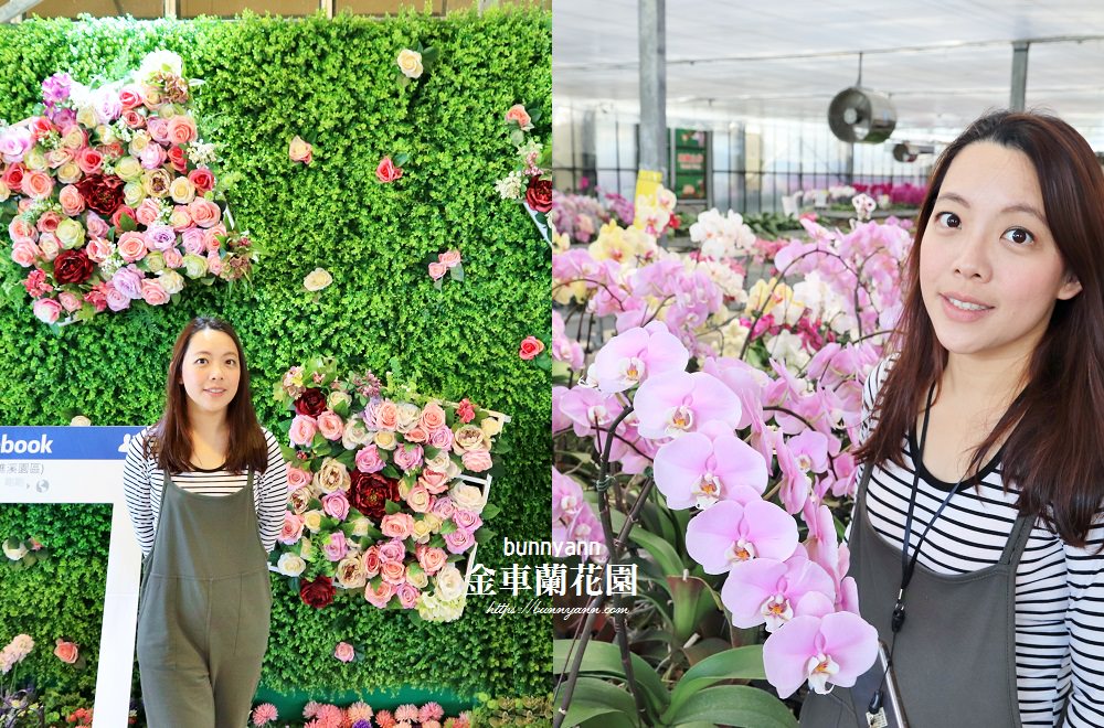 宜蘭景點》礁溪金車蘭花園,美拍花仙子蝴蝶蘭,DIY水耕植栽好有趣~ 宜蘭景點》礁溪金車蘭花園,美拍花仙子蝴蝶蘭,DIY水耕植栽好有趣~