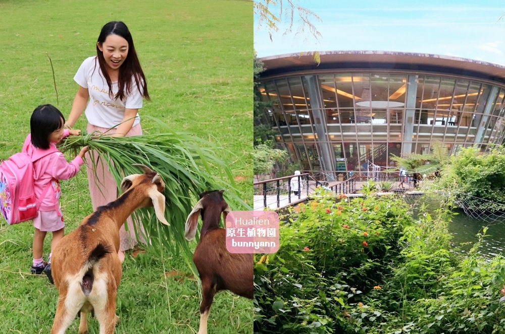 台東景點 原生應用植物園 我被羊跟鴕鳥包圍了 隱藏版菇菇鍋吃到飽 小兔小安 旅遊札記